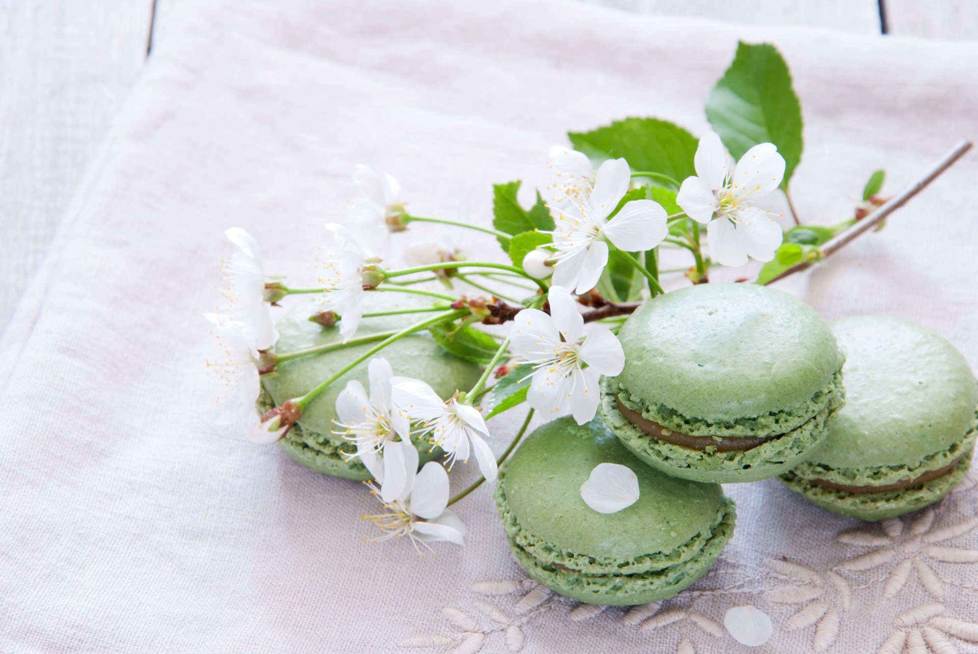 biscuits macaron macaron pistache bonbons dessert branche fleur