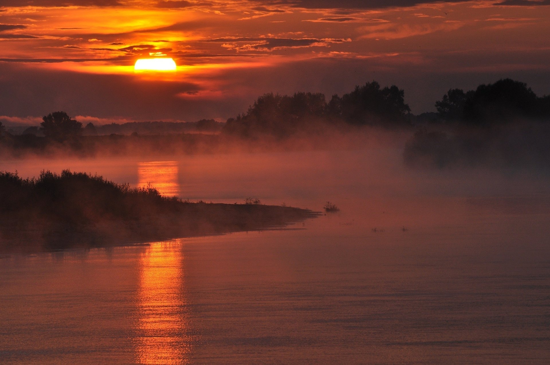 sonne morgen nebel fluss wald natur wolken