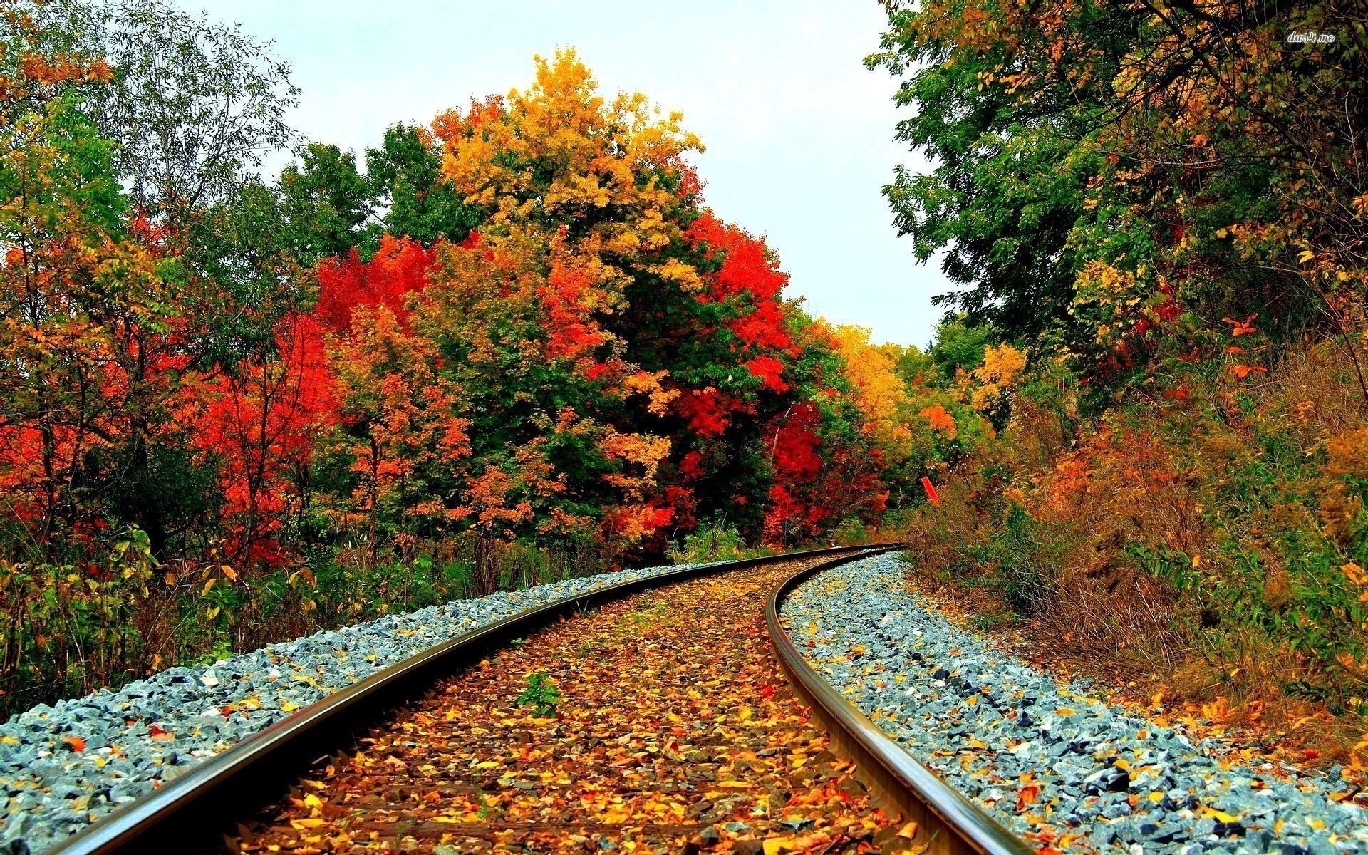 chemin de fer forêt automne