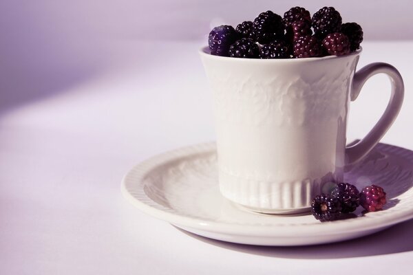 White saucer with a cup of blackberries