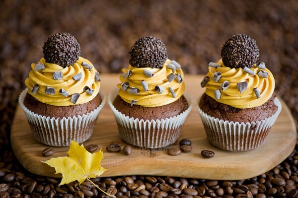 Cupcakes al tartufo su tavola di legno