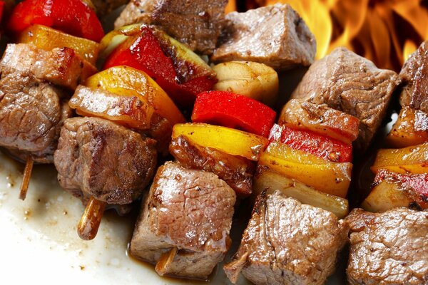 Grilled meat on a fire with vegetables