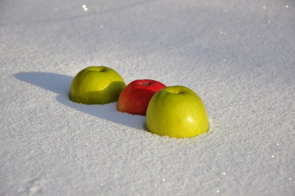 Red and green apples in the snow