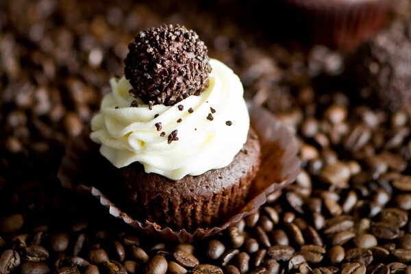 Cake with cream on coffee beans