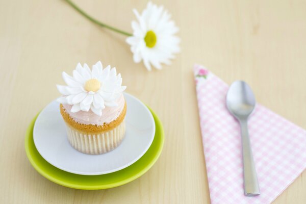 Ein Kuchen, der mit Kamille aus Sahne auf einem weißen und grünen Teller verziert ist