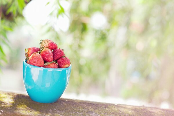 Bol complet de fraises mûres