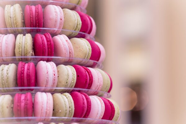 Pâtisseries parisiennes beiges et roses