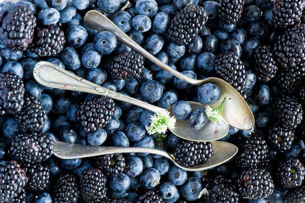 Heidelbeeren und Blaubeeren mit Teelöffel