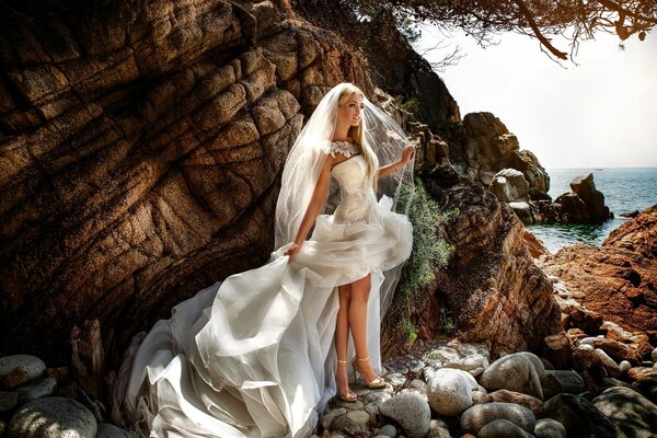 The bride in a chic dress and veil on the seashore