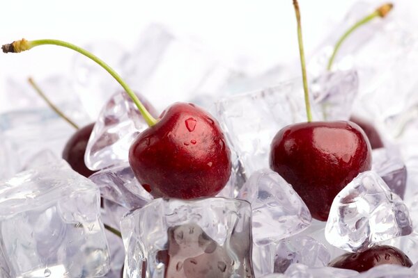 Cerises avec des gouttes d eau sur la glace