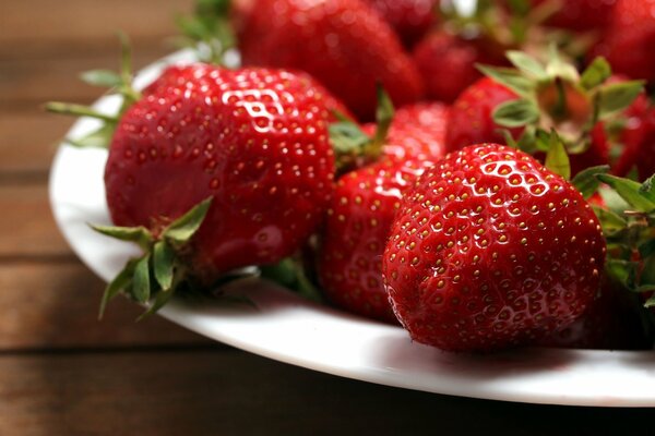 Große Erdbeeren liegen auf einem großen weißen Teller