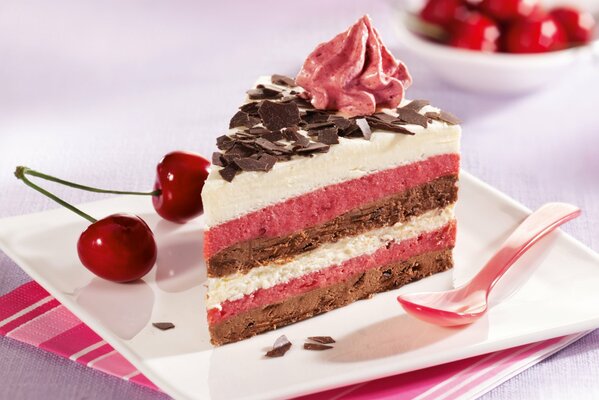 Gâteau avec une couche de chocolat et de cerises