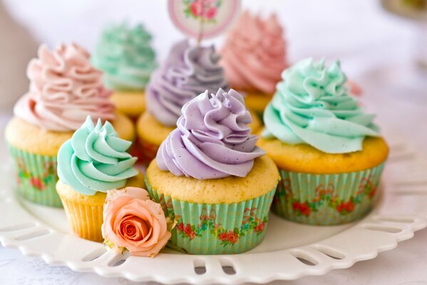 Cupcakes with cream on a white platter