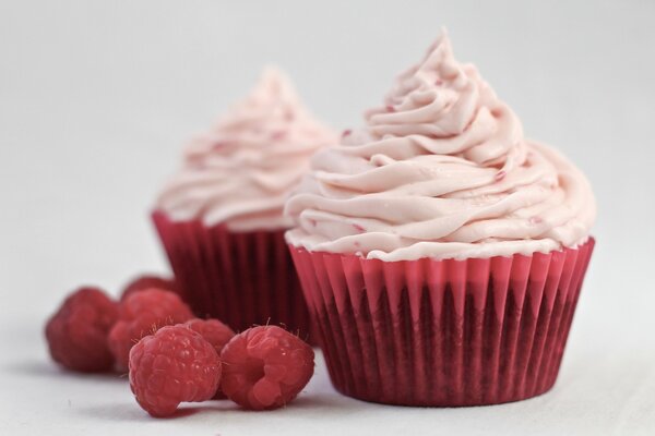 Muffins à la crème et aux framboises