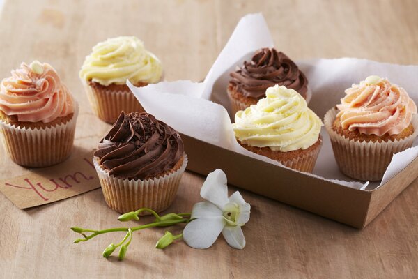 Vanilla cakes with orchid flower