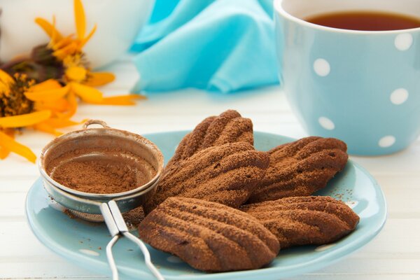 Cuisson saupoudrée de poudre de cacao dans une assiette bleue