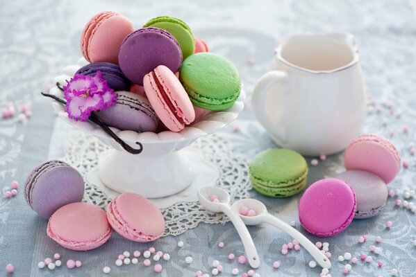 Multicolored macaroons with white milkman