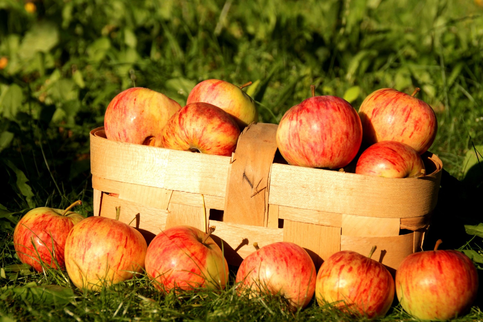 manzanas cebolla fruta naturaleza otoño