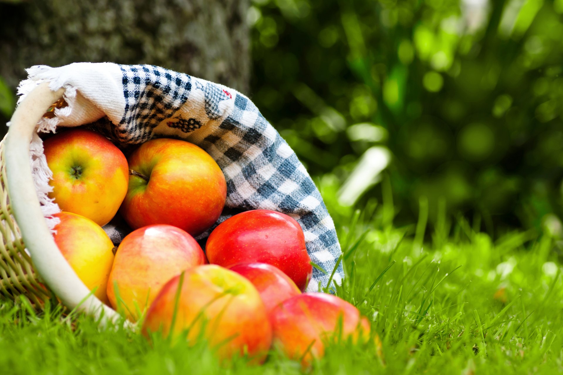 mele rosso maturo frutta cesto tovagliolo erba