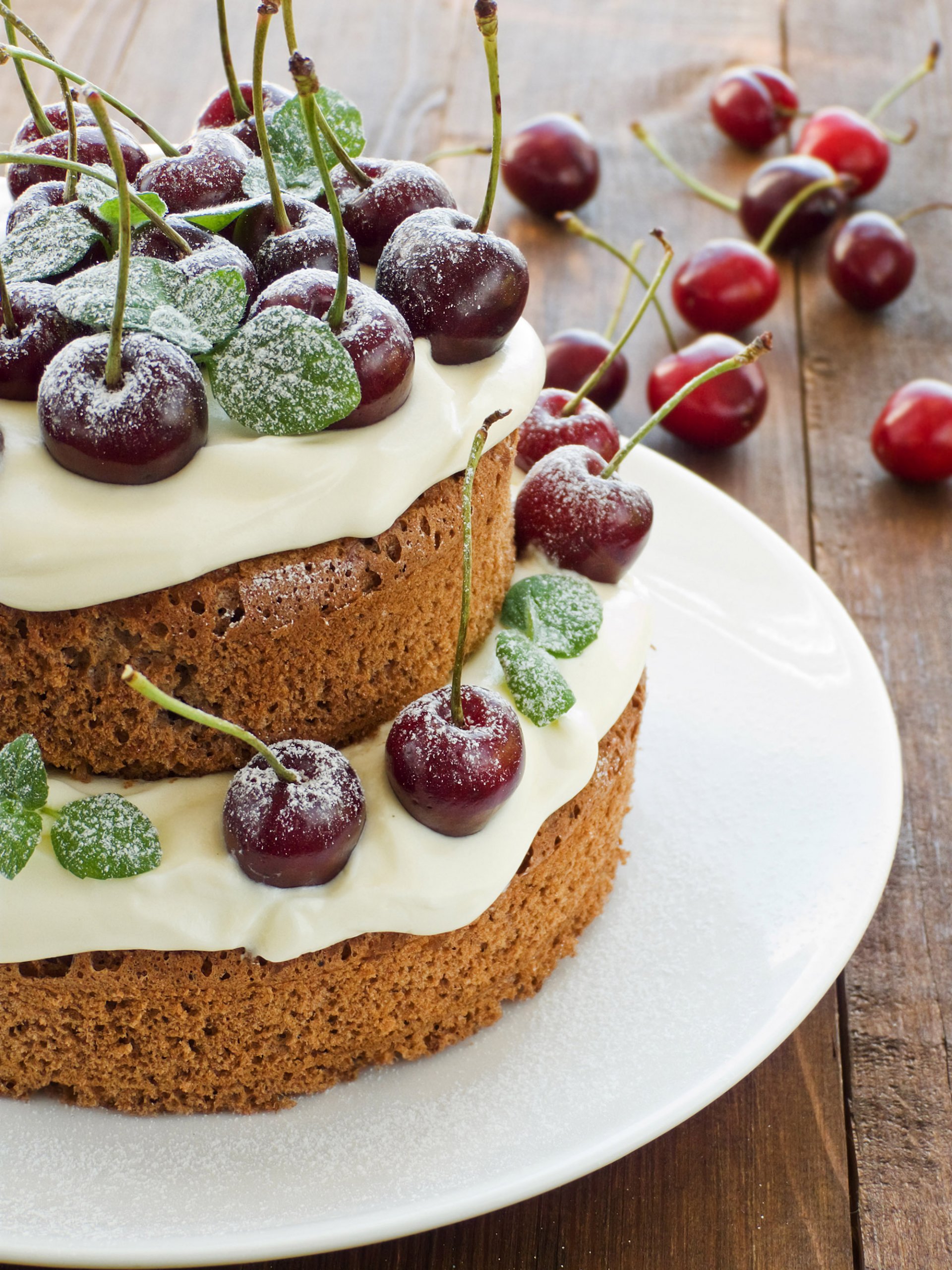 torta ciliegie delizioso dolci crema pan di spagna dessert zucchero a velo