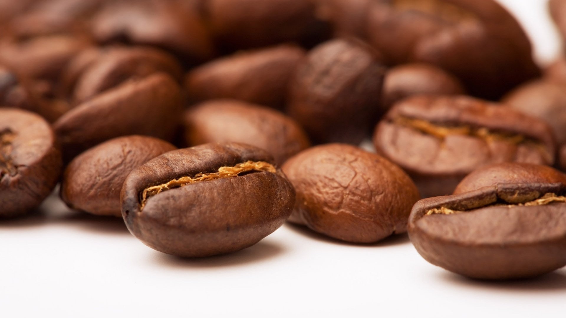 coffee beans close up