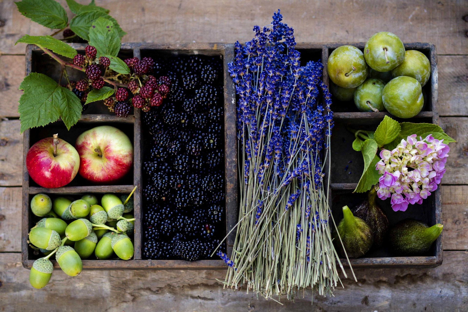 fruits apples plum berries blackberry flower lavender shopping acorns autumn