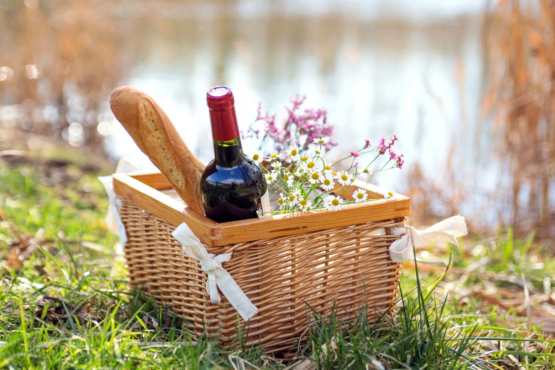 wein rot flasche baguette gänseblümchen korb picknick natur