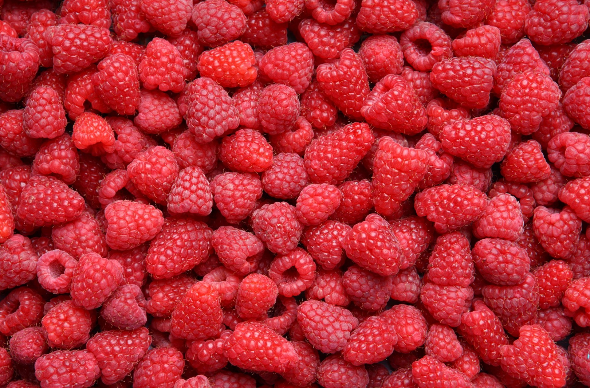 food raspberry berries many