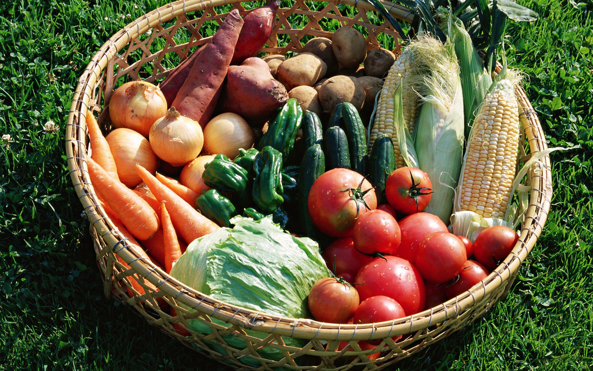 légumes panier tomates chou concombres oignons poivrons pommes de terre carottes maïs