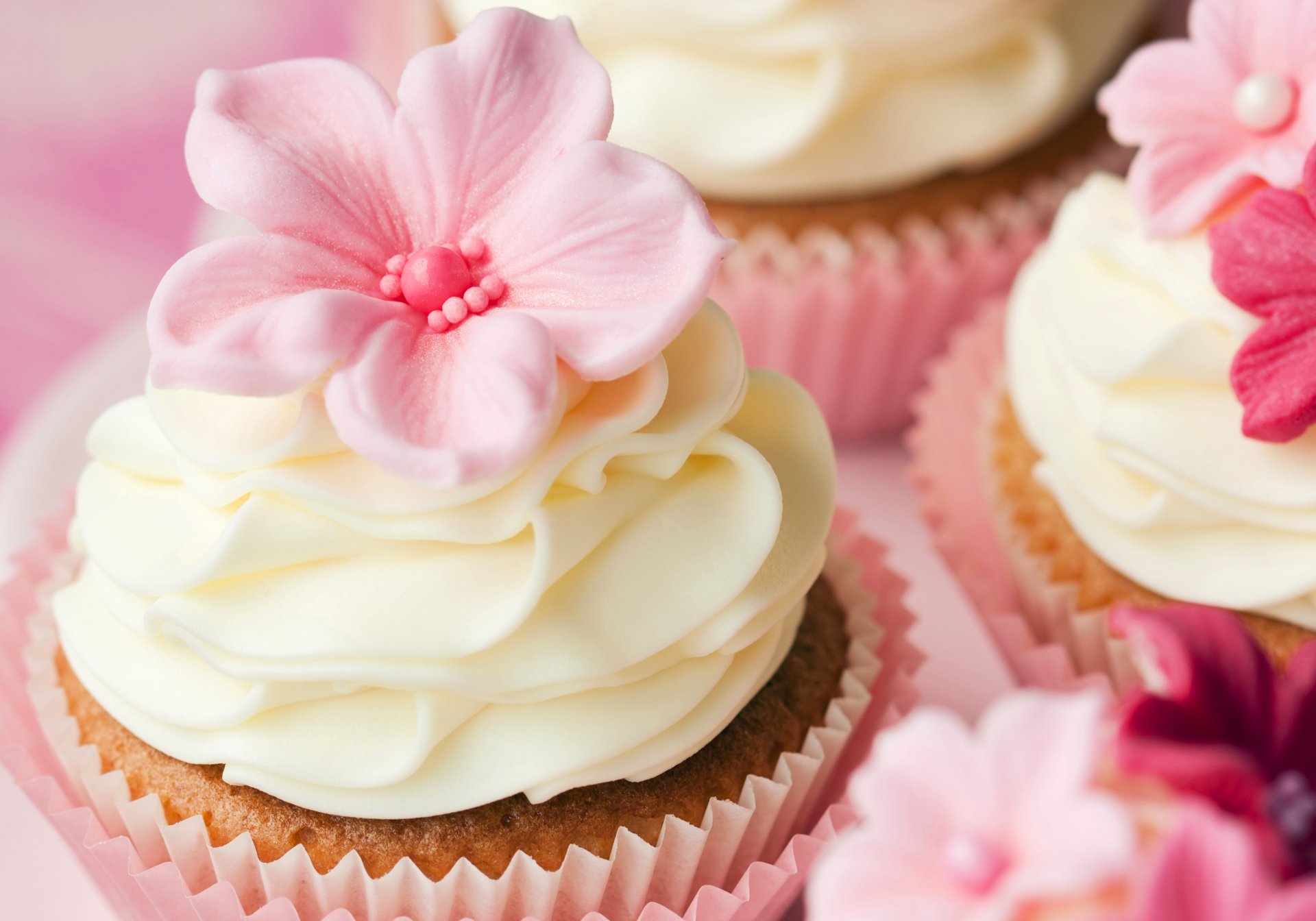 muffins gâteaux crème fleurs décoration doux dessert pâtisseries