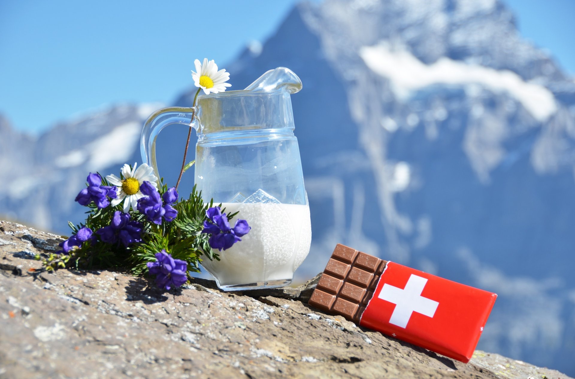 lait chocolat suisse fleurs marguerites alpes