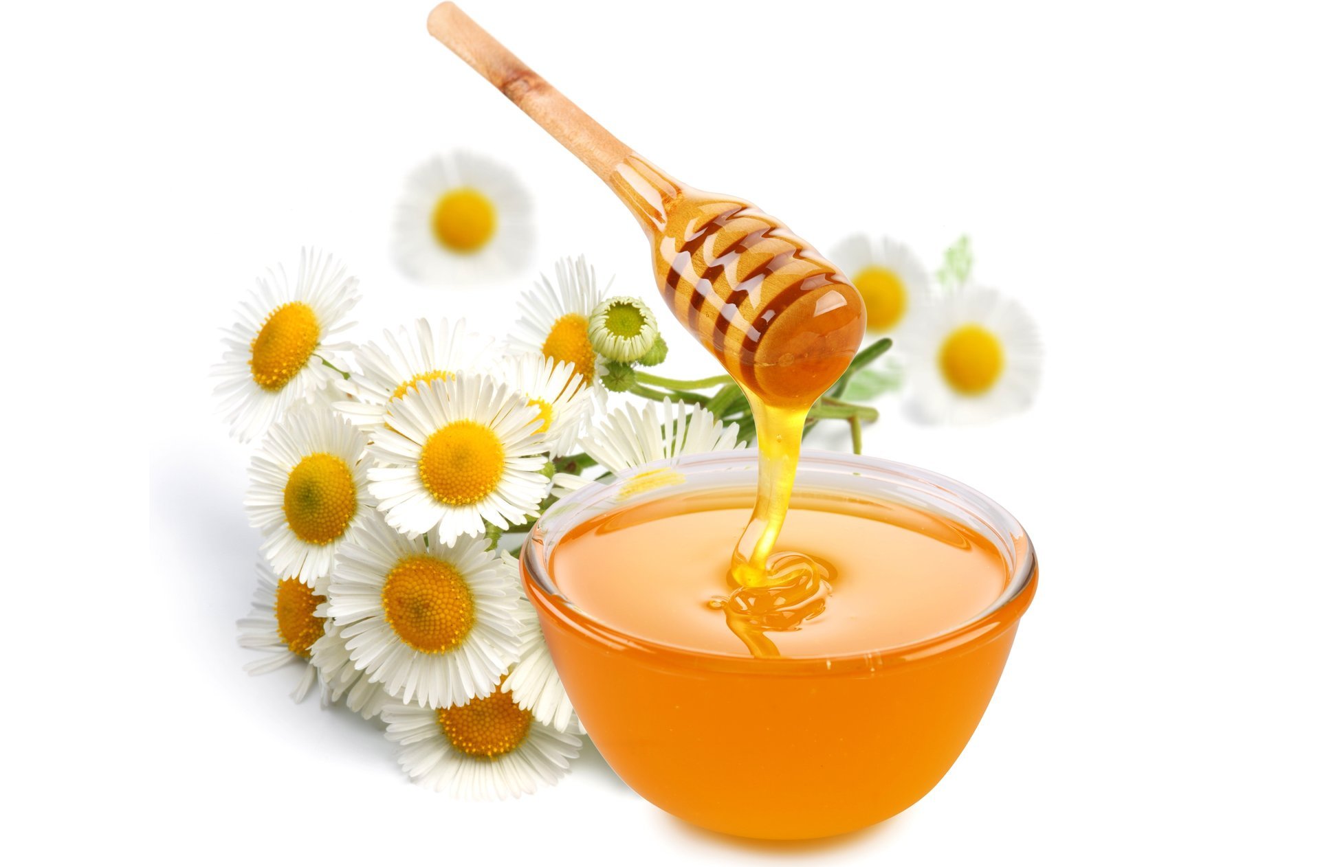 honey bowl spoon chamomile flower white background