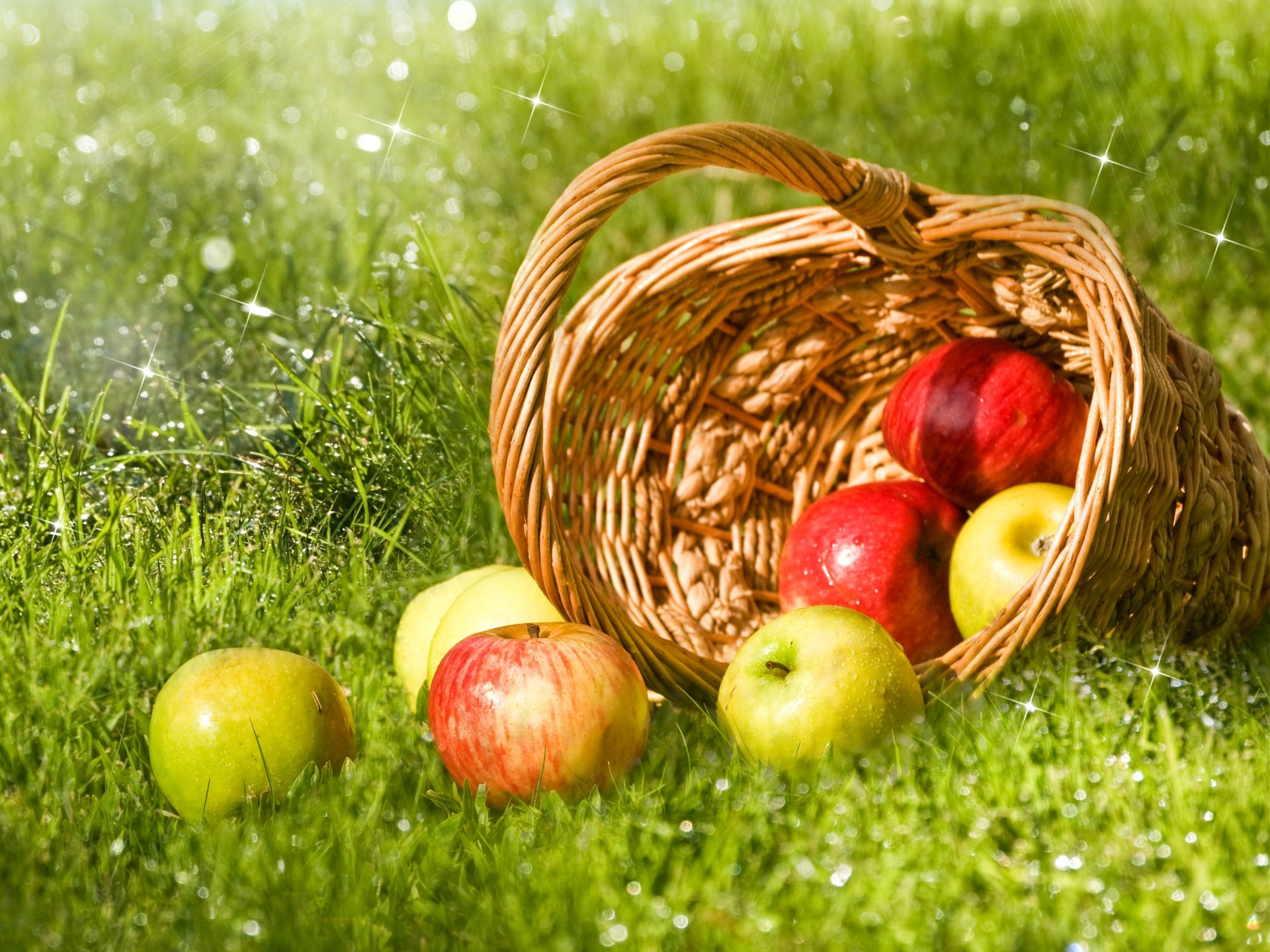 manzanas verde rojo fruta cesta hierba rocío gotas reflejos bokeh