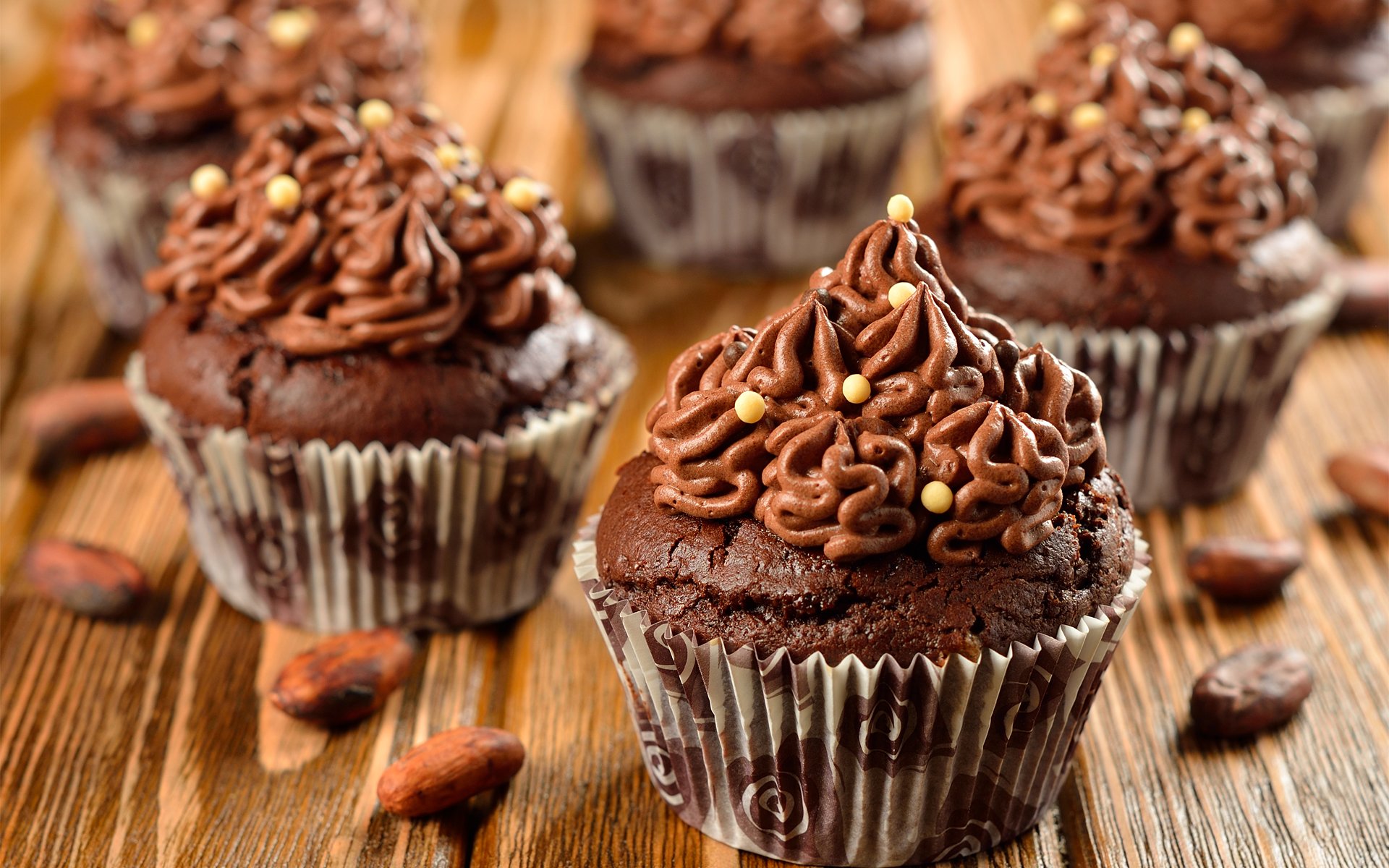 muffins chocolat crème sucré fèves de cacao