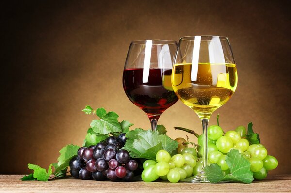 White and red wine in glasses with grapes