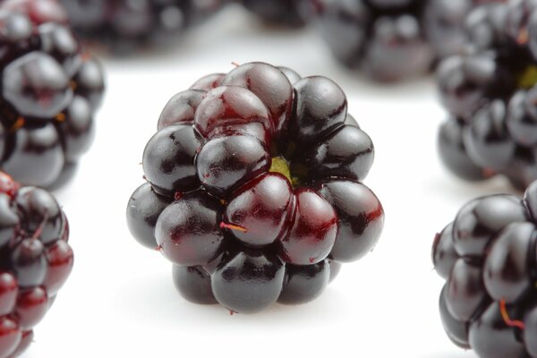 Delicious blackberry berries close-up