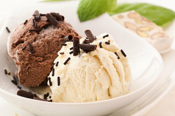 A plate with balls of chocolate and white ice cream