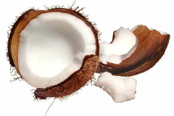 Broken coconut with white pulp