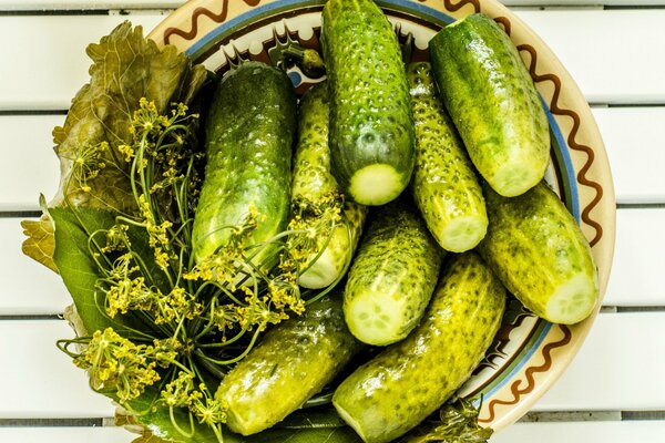 Pepinos salados con eneldo en un plato