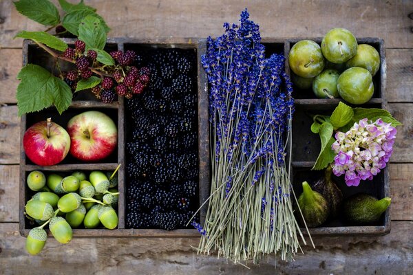 Disposizione di frutta e fiori di lavanda