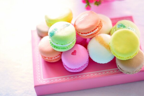 Galletas Macaron de colores en una Caja