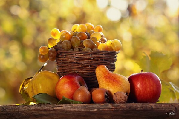 Still life in nature with pears apples and grapes