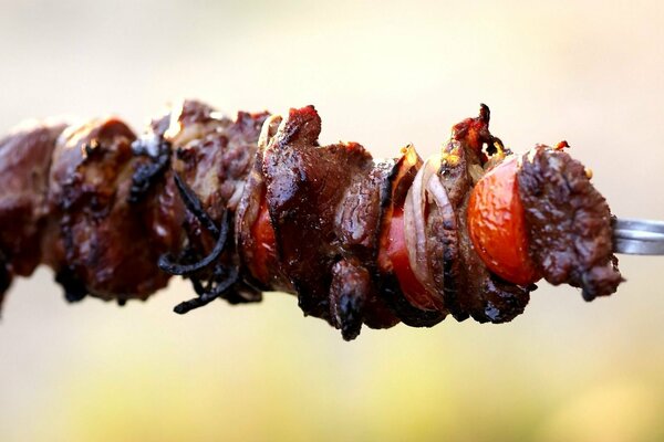 Fried shish kebab on a skewer with onions