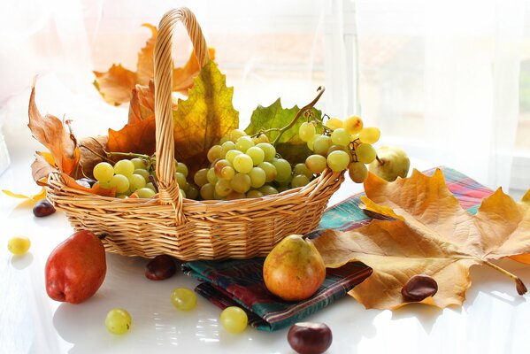 Autumn still life of fruits and berries