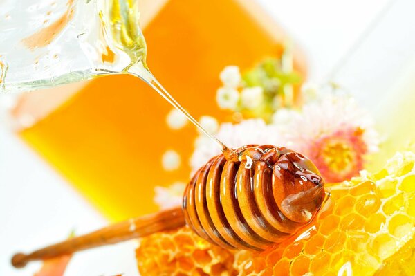 Honeycomb with flower honey