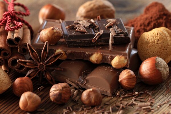 Still life of chocolate pieces and nuts, cinnamon