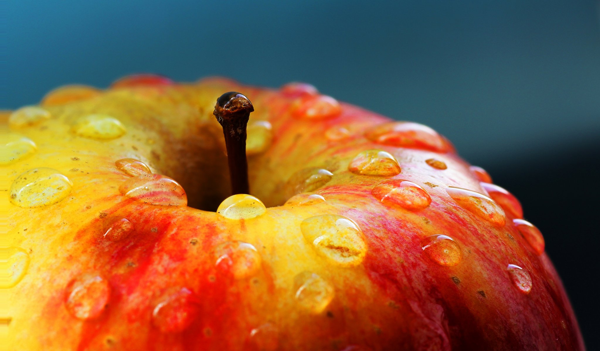 pomme gouttes gros plan