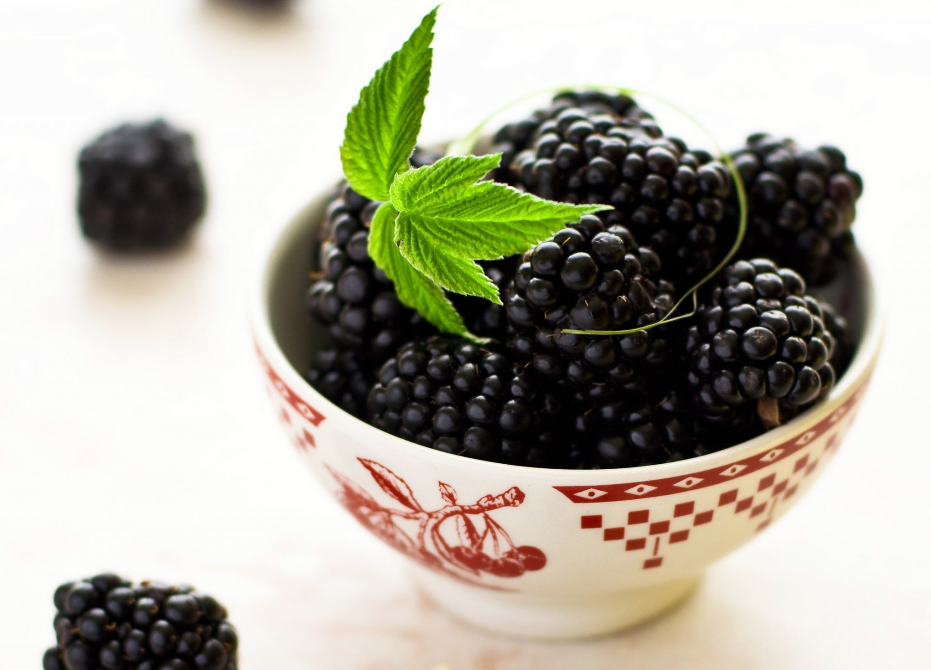 bowl berries blackberry close up