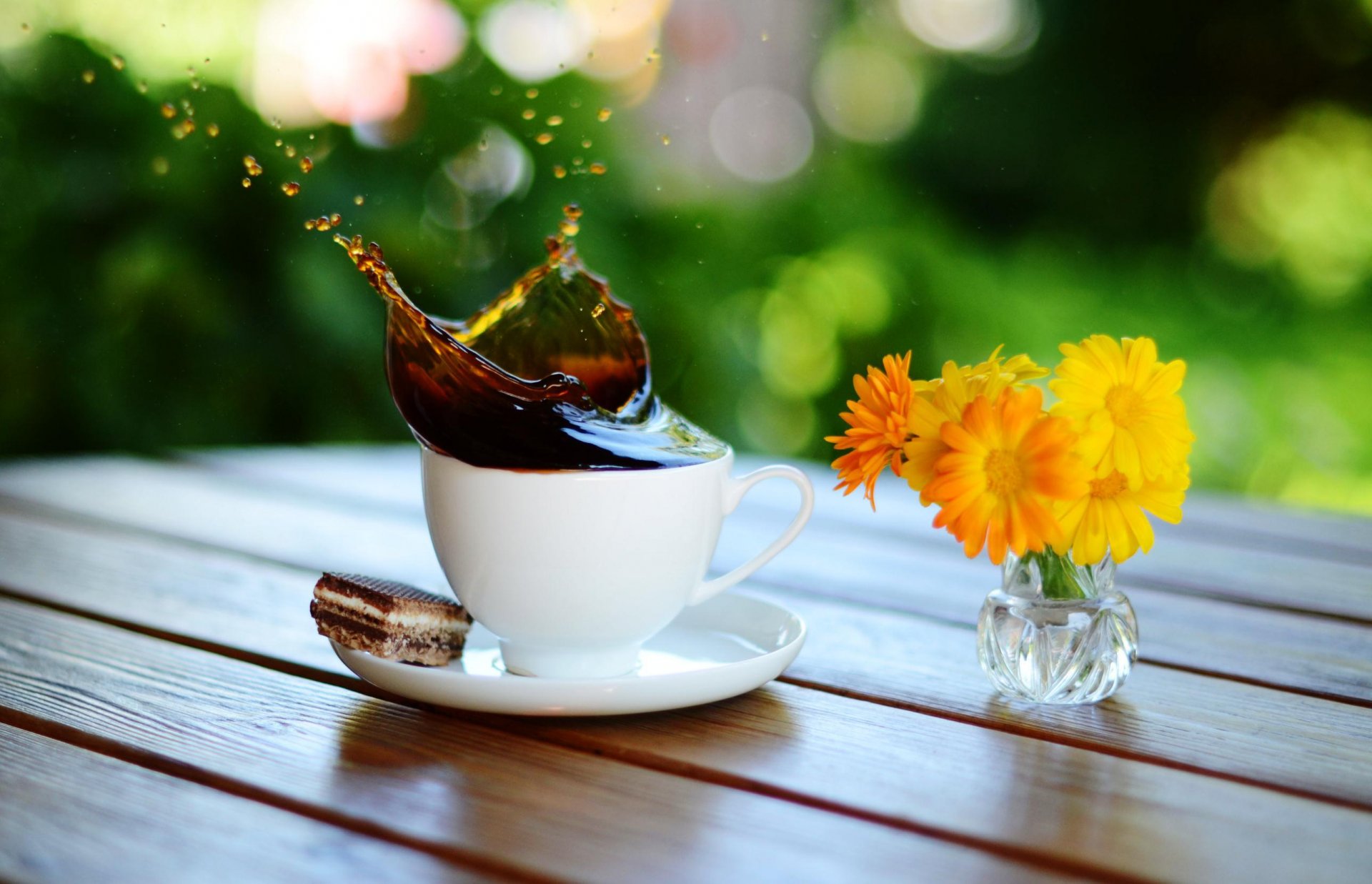 gros plan table tasse soucoupe café splash éclaboussures biscuits vase fleurs