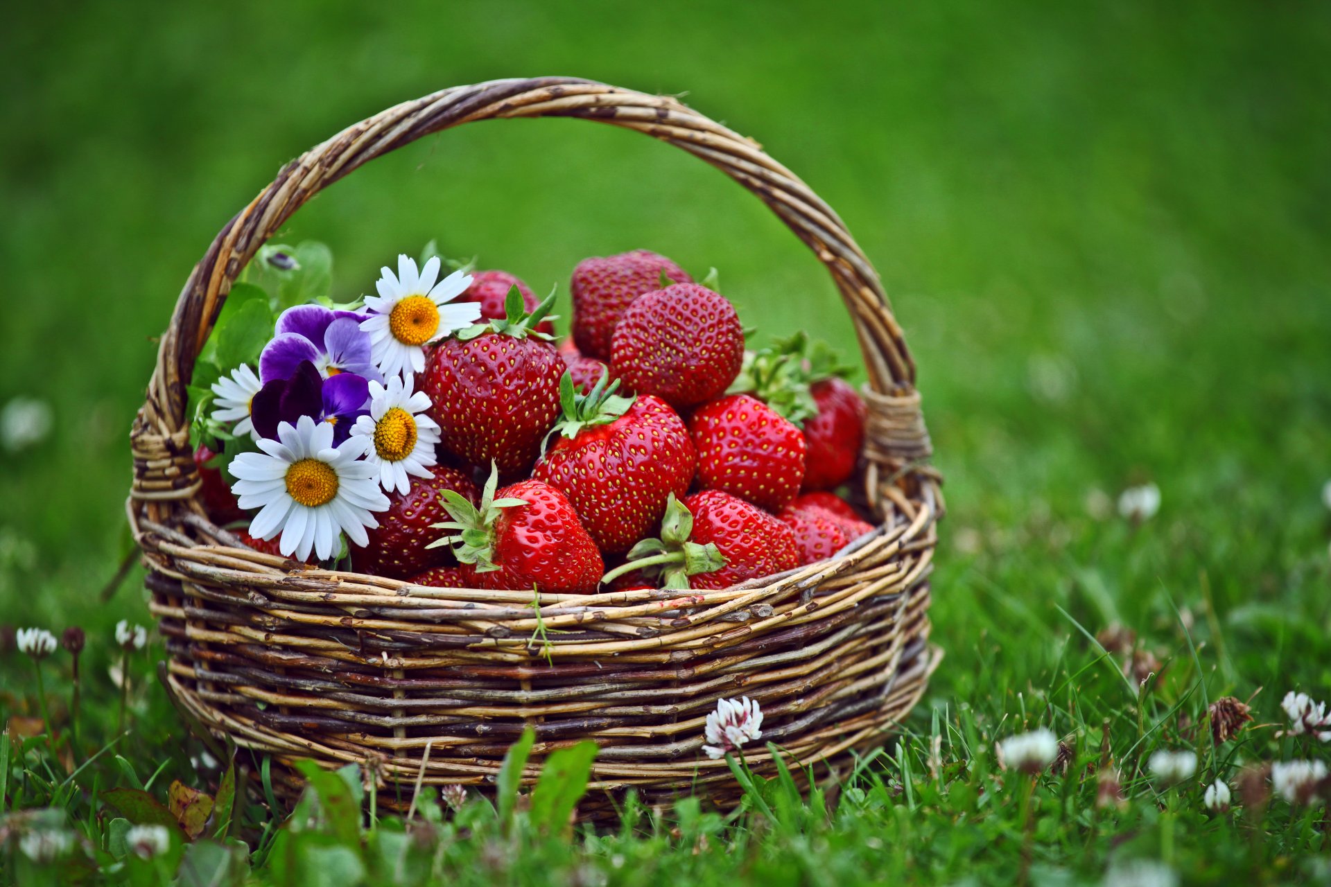 panier fraise fleurs herbe